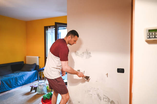  Syracuse, KS Mold Removal Pros